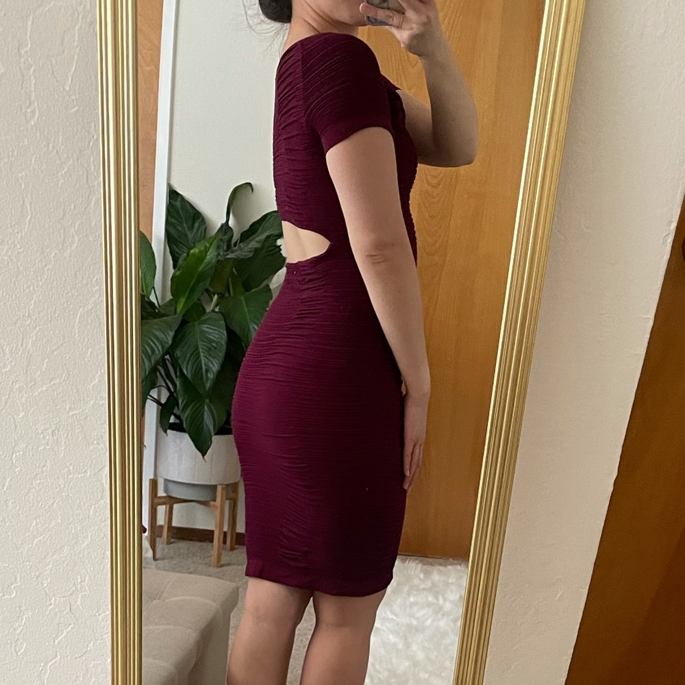 Wine Colored Bodycon Dress